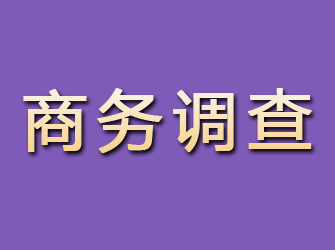 依兰商务调查